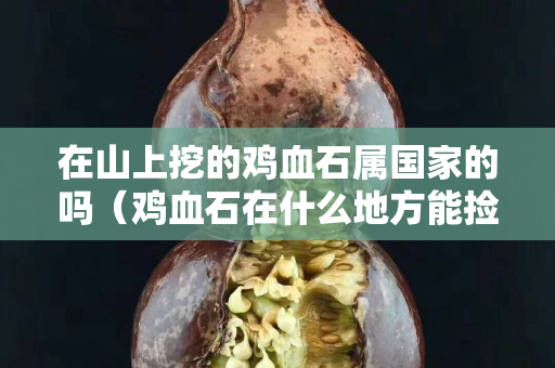 在山上挖的鸡血石属国家的吗（鸡血石在什么地方能捡到）