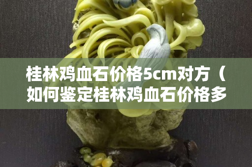 桂林鸡血石价格5cm对方（如何鉴定桂林鸡血石价格多少）