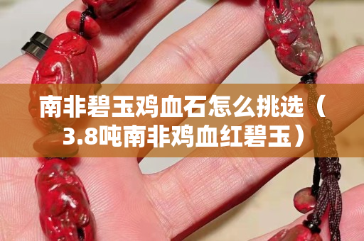 南非碧玉鸡血石怎么挑选（3.8吨南非鸡血红碧玉）
