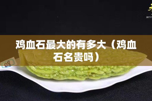 鸡血石最大的有多大（鸡血石名贵吗）