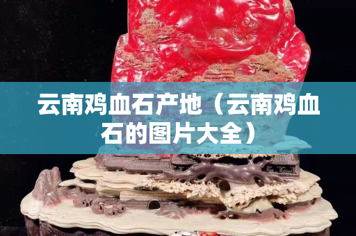 云南鸡血石产地（云南鸡血石的图片大全）