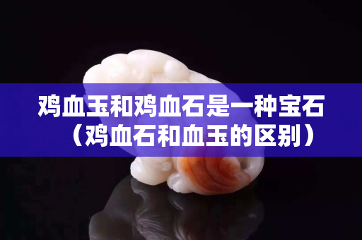 鸡血玉和鸡血石是一种宝石（鸡血石和血玉的区别）