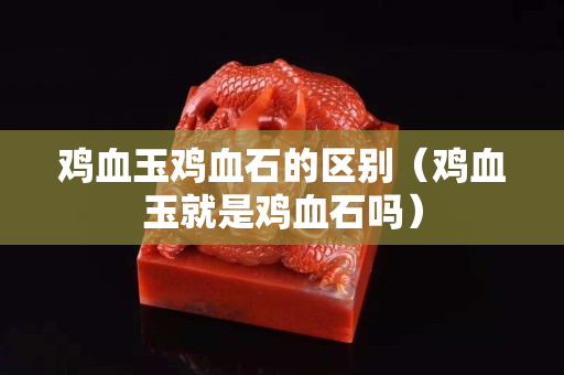 鸡血玉鸡血石的区别（鸡血玉就是鸡血石吗）