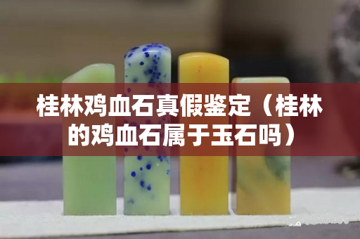 桂林鸡血石真假鉴定（桂林的鸡血石属于玉石吗）