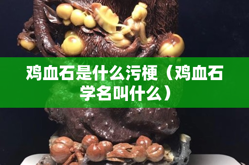 鸡血石是什么污梗（鸡血石学名叫什么）