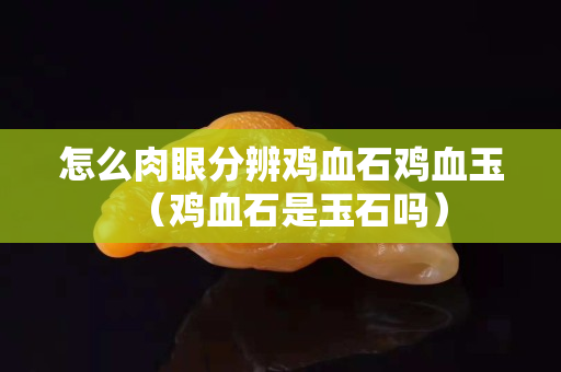 怎么肉眼分辨鸡血石鸡血玉（鸡血石是玉石吗）
