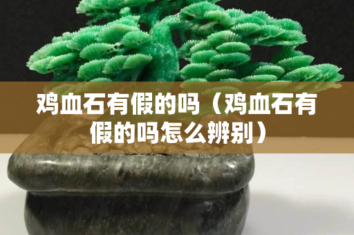 鸡血石有假的吗（鸡血石有假的吗怎么辨别）