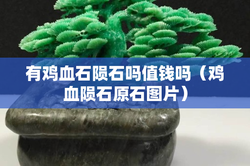 有鸡血石陨石吗值钱吗（鸡血陨石原石图片）
