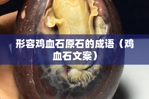 形容鸡血石原石的成语（鸡血石文案）