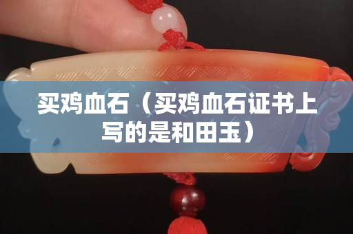 买鸡血石（买鸡血石证书上写的是和田玉）