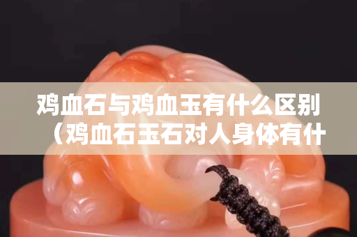 鸡血石与鸡血玉有什么区别（鸡血石玉石对人身体有什么好处？）