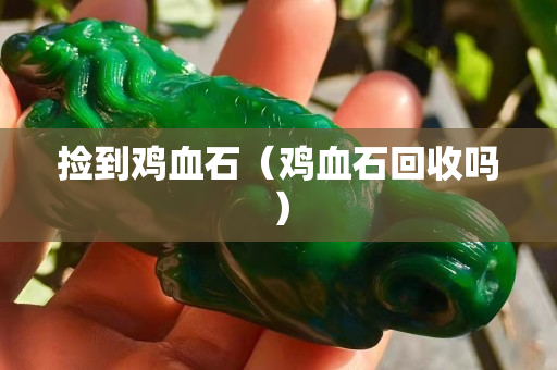 捡到鸡血石（鸡血石回收吗）