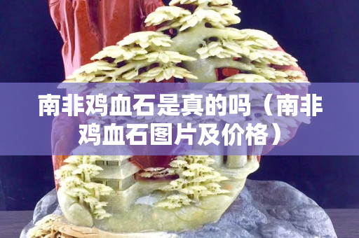 南非鸡血石是真的吗（南非鸡血石图片及价格）