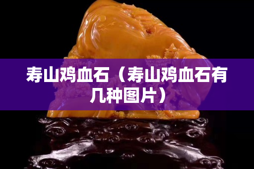 寿山鸡血石（寿山鸡血石有几种图片）