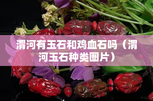 渭河有玉石和鸡血石吗（渭河玉石种类图片）