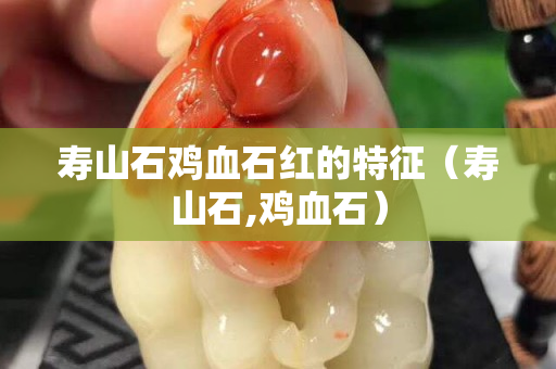 寿山石鸡血石红的特征（寿山石,鸡血石）