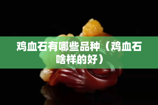 鸡血石有哪些品种（鸡血石啥样的好）