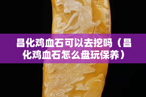 昌化鸡血石可以去挖吗（昌化鸡血石怎么盘玩保养）