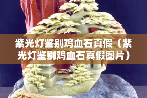 紫光灯鉴别鸡血石真假（紫光灯鉴别鸡血石真假图片）