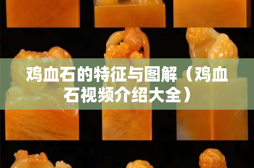 鸡血石的特征与图解（鸡血石视频介绍大全）