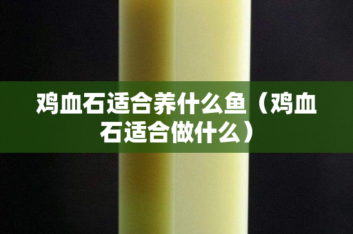 鸡血石适合养什么鱼（鸡血石适合做什么）