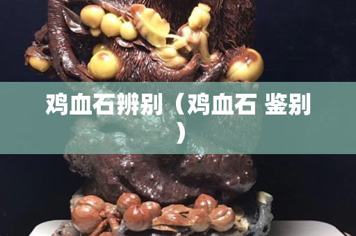 鸡血石辨别（鸡血石 鉴别）