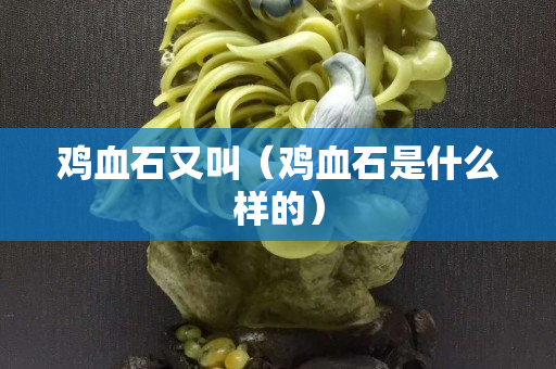 鸡血石又叫（鸡血石是什么样的）