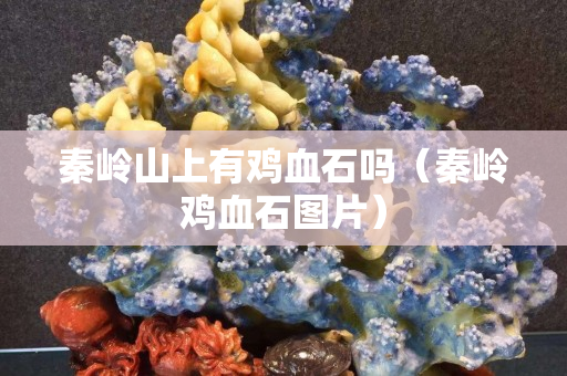 秦岭山上有鸡血石吗（秦岭鸡血石图片）