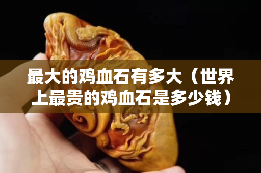 最大的鸡血石有多大（世界上最贵的鸡血石是多少钱）