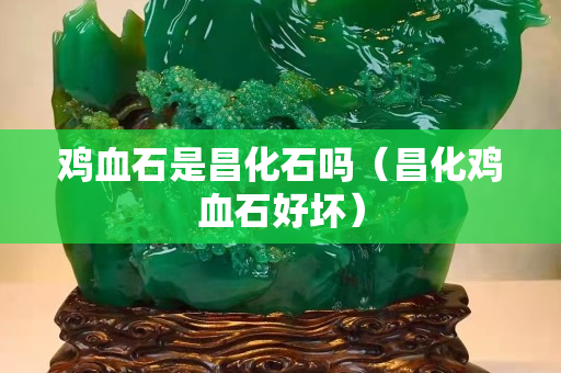 鸡血石是昌化石吗（昌化鸡血石好坏）