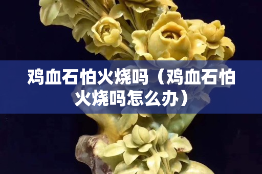 鸡血石怕火烧吗（鸡血石怕火烧吗怎么办）