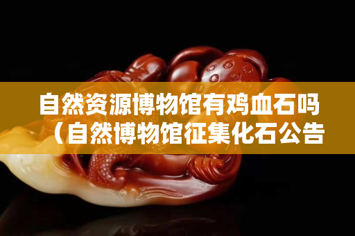 自然资源博物馆有鸡血石吗（自然博物馆征集化石公告）