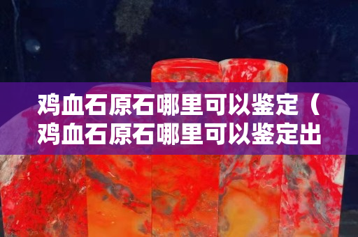 鸡血石原石哪里可以鉴定（鸡血石原石哪里可以鉴定出来）