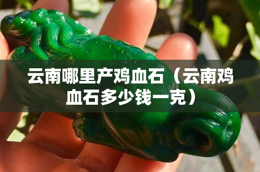 云南哪里产鸡血石（云南鸡血石多少钱一克）
