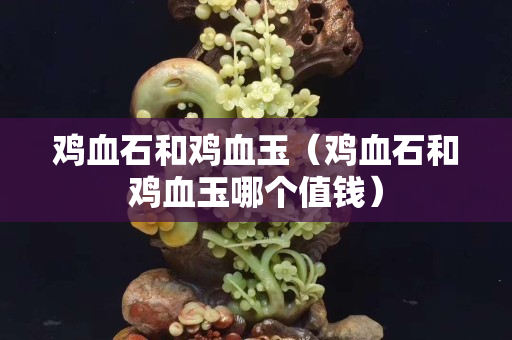鸡血石和鸡血玉（鸡血石和鸡血玉哪个值钱）