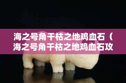海之号角干枯之地鸡血石（海之号角干枯之地鸡血石攻略）