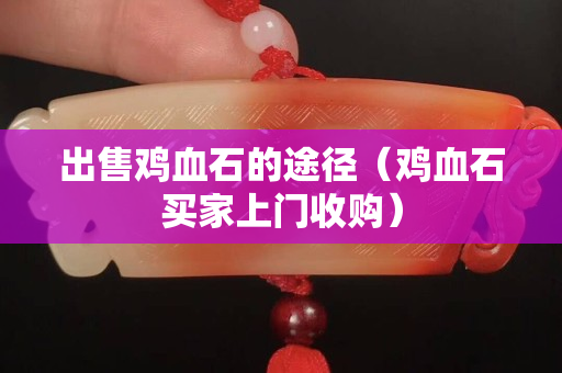 出售鸡血石的途径（鸡血石买家上门收购）