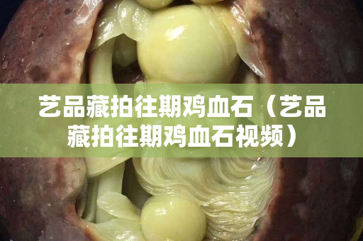 艺品藏拍往期鸡血石（艺品藏拍往期鸡血石视频）