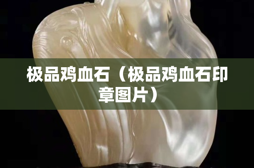 极品鸡血石（极品鸡血石印章图片）