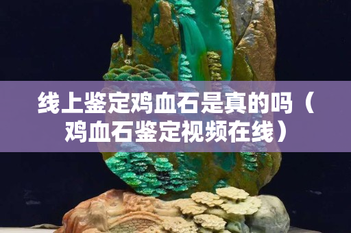 线上鉴定鸡血石是真的吗（鸡血石鉴定视频在线）