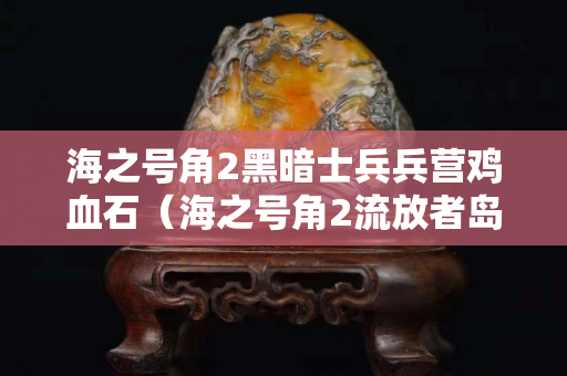 海之号角2黑暗士兵兵营鸡血石（海之号角2流放者岛屿鸡血石）