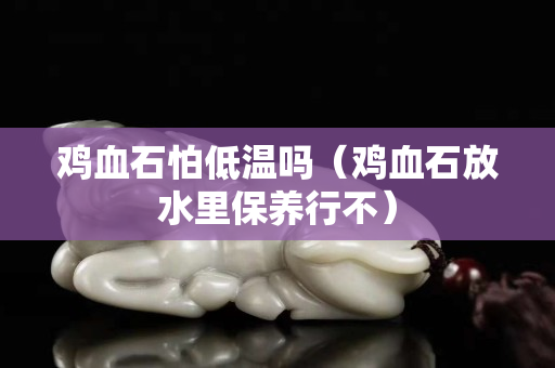 鸡血石怕低温吗（鸡血石放水里保养行不）