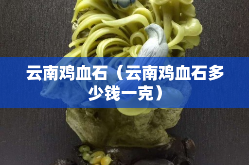 云南鸡血石（云南鸡血石多少钱一克）