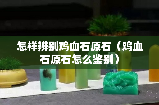 怎样辨别鸡血石原石（鸡血石原石怎么鉴别）