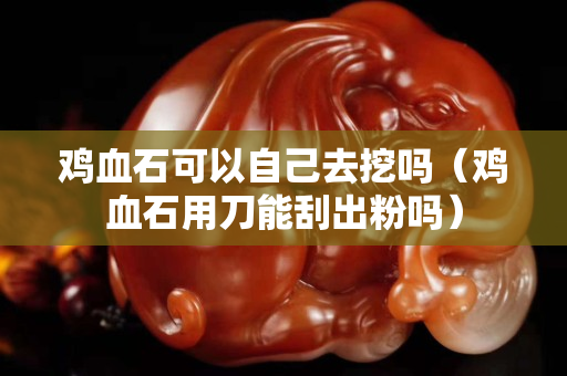 鸡血石可以自己去挖吗（鸡血石用刀能刮出粉吗）