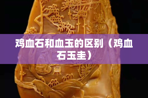 鸡血石和血玉的区别（鸡血石玉圭）