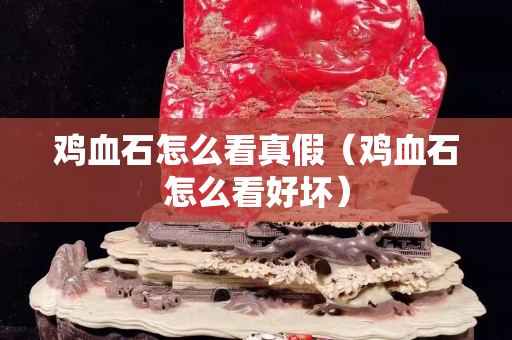 鸡血石怎么看真假（鸡血石怎么看好坏）