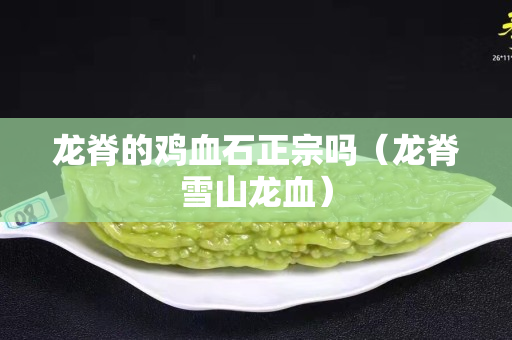 龙脊的鸡血石正宗吗（龙脊雪山龙血）