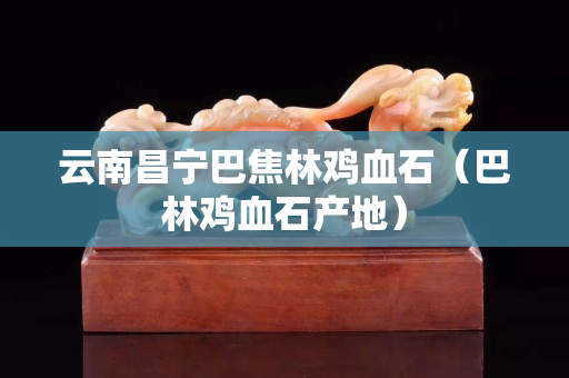 云南昌宁巴焦林鸡血石（巴林鸡血石产地）