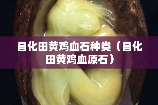 昌化田黄鸡血石种类（昌化田黄鸡血原石）